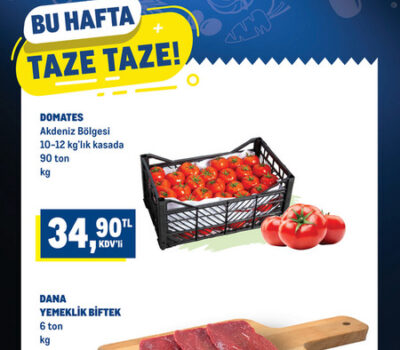 metro katalog